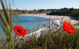 WhatsApp Image at AM ()